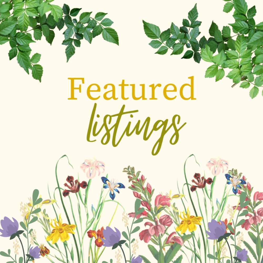 NEW ITEMS SHOWCASED DAILY!!
